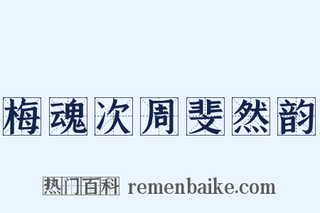 梅魂次周斐然韵是什么意思的图片